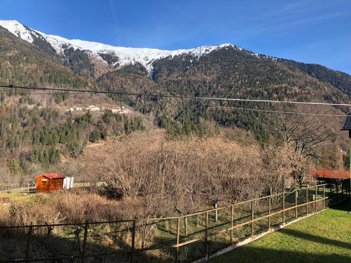 Mountain House Rigolato Exterior foto